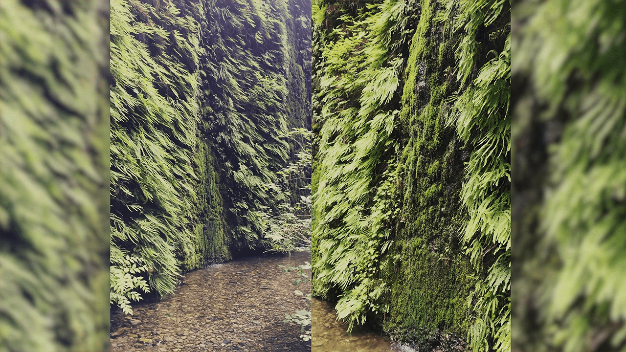 Northern California Walkthrough